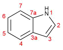 Indol