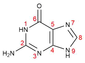 Guanin