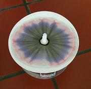 Beispiel fuer eine Papierchromatographie