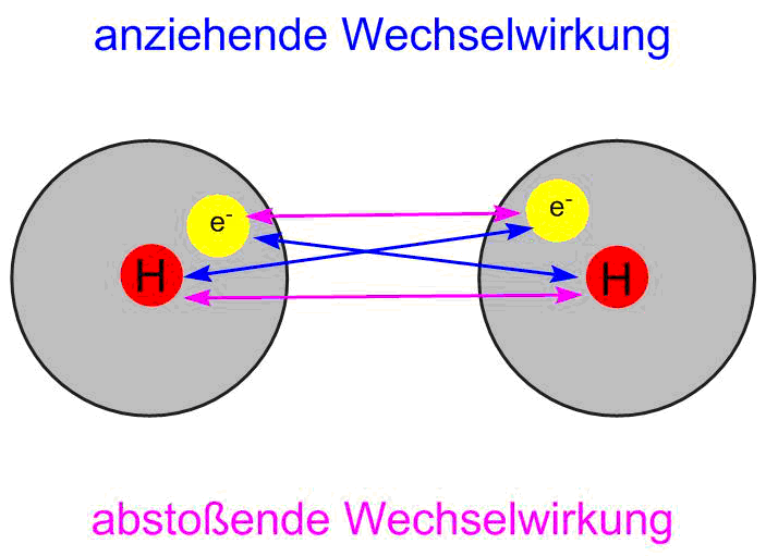 Abbildung Wechselwirkungen