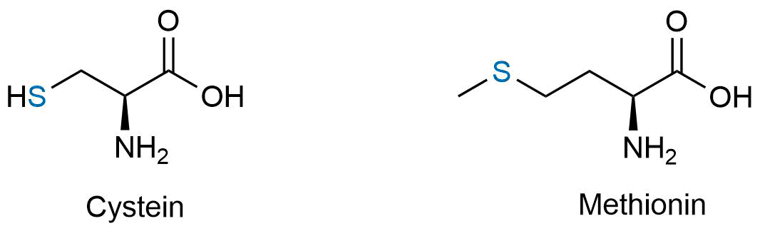 Cystein und Methionin