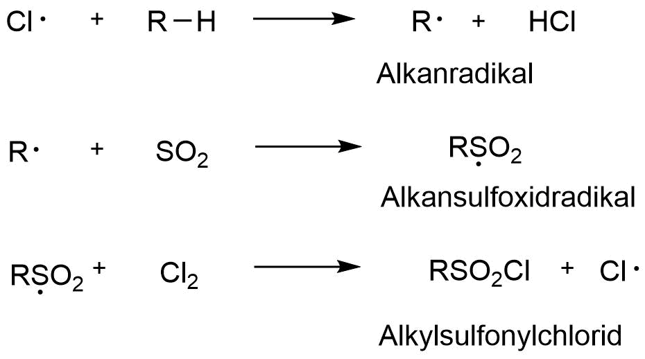 Kettentfortpflanzung1